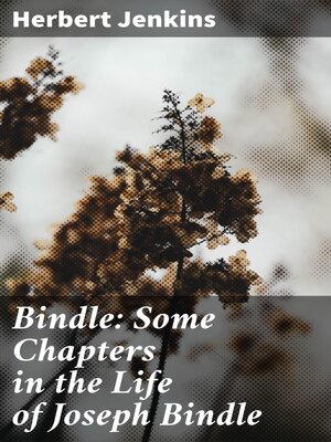 cover image of Bindle